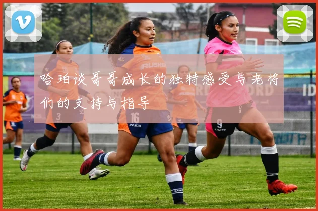 哈珀谈哥哥成长的独特感受与老将们的支持与指导
