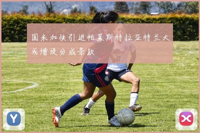 国米加快引进帕莱斯特拉亚特兰大或增设分成条款